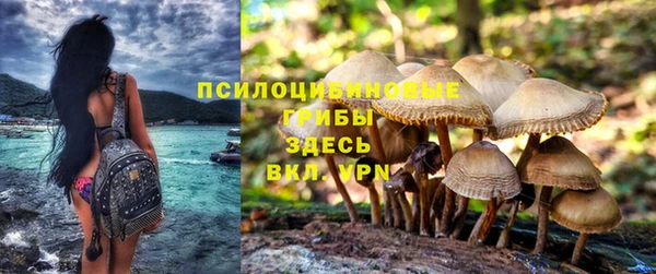 а пвп мука Богородск